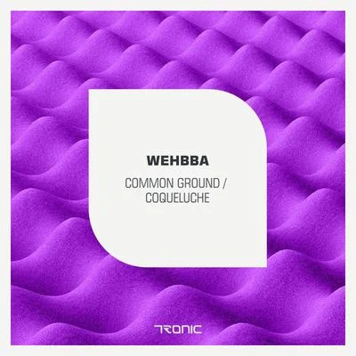 Wehbba/Pedro Delgardo/A.Paul/Odessa Soundfreaks/Christian FischerCommon GroundCoqueluche