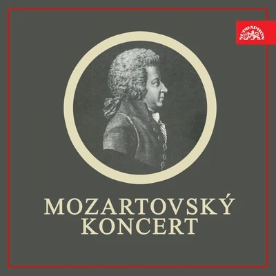 Jaroslav ŠedaMozart: Mozartovský koncert