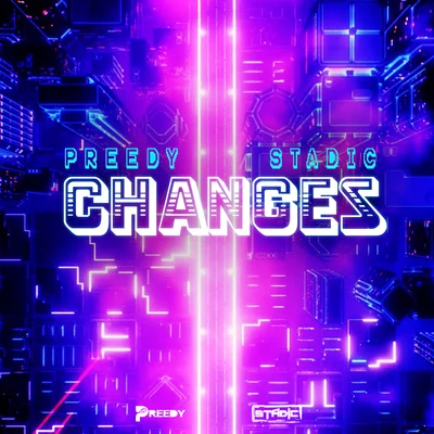 DJ Private Ryan/PreedyChanges