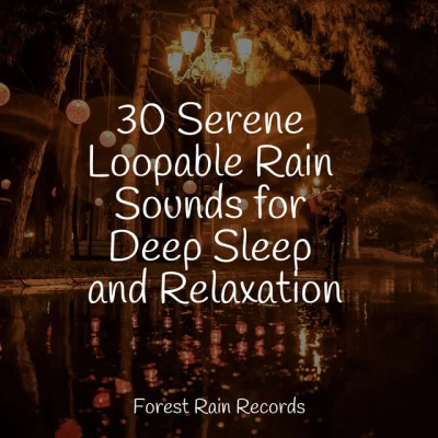 Entspannungsmusik Meer30 Serene Loopable Rain Sounds for Deep Sleep and Relaxation