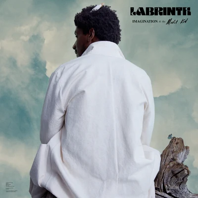 LabrinthWhere The Wild Things