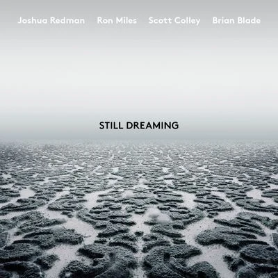 Eirik HegdalTrondheim Jazz OrchestraJoshua RedmanStill Dreaming (feat. Ron Miles, Scott Colley & Brian Blade)