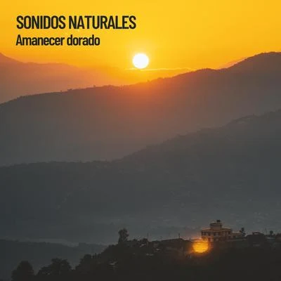 Rest & Relax Nature Sounds ArtistsSonidos Naturales: Amanecer dorado