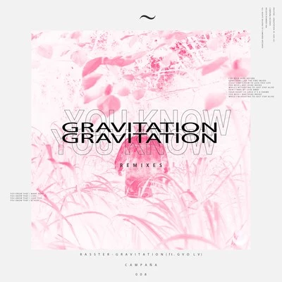 RassterGravitation (The Remixes)