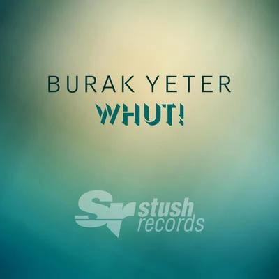 Burak Yeter/Cecilia KrullWhut!