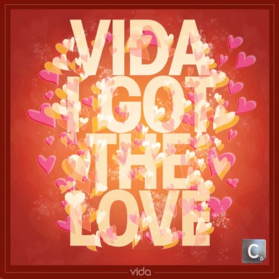 VidaI Got The Love