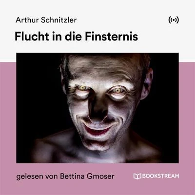 Arthur SchnitzlerFlucht in die Finsternis