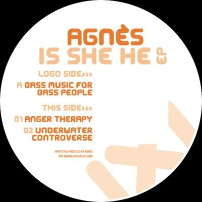 Agnes/Avicii/Vargas & LagolaIs She He EP