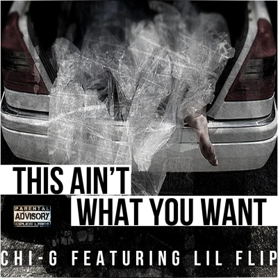 Gato da Bato/Lil FlipThis Aint What You Want (feat. Lil Flip)