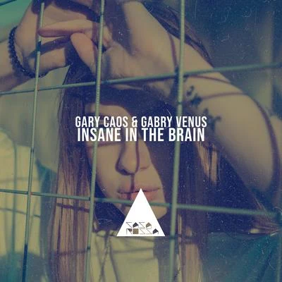 Gabry VenusInsane in the Brain