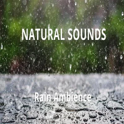 Natural Sounds/Meditation Rain Sounds/nature & Sounds BackgroundRain Ambience