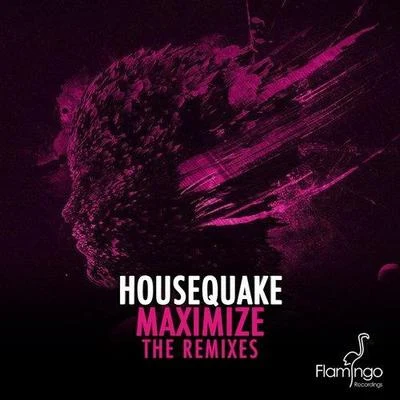 HousequakeMaximize (Remix)