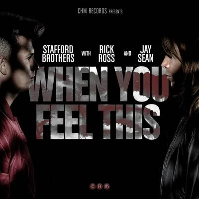 Stafford Brothers/DBNWhen You Feel This