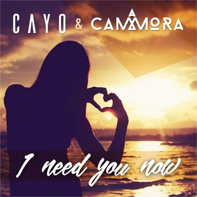 Tim Gartz/CammoraI Need You Now