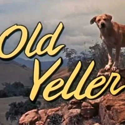 jojiDiploold yeller