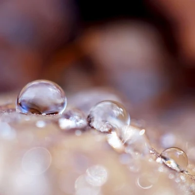 Academia de Meditação BuddhaMusica Relajante SpecialistasFabricantes De LluviaSpring 2020 Ambient Rain and Nature Sounds for Meditation