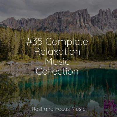 Meditation Weekend/Anna Einaudi/The Marcello Player/Uma Gaye/May First/Shakuhachi Sakano/Best Harmony/Everythings Fine35 Complete Relaxation Music Collection