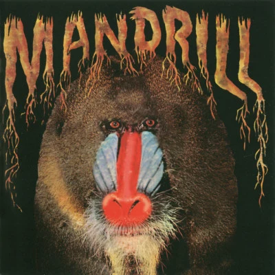 MandrillMandrill