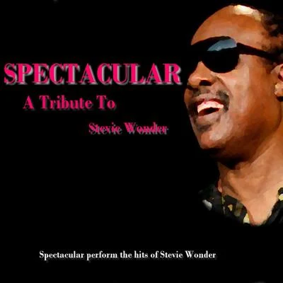 SpectacularA Tribute To Stevie Wonder