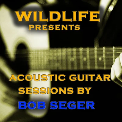 Wildlife/Yuzhakov Igor/Chris Wonderful/EMIOL/VSTGUru/Quintino & Blasterjaxx/My 7sky/Sara Pollino/Soulway One/Panna CottaAcoustic Guitar Melodies: Bob Seger