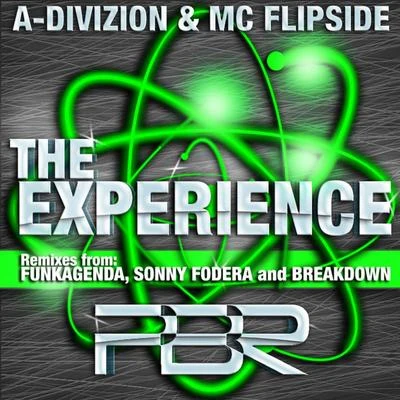 Mooij/MC FlipsideThe Experience (Remixes)