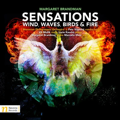 Petr Vronsky/Gheorghe Zamfir/Lawrence Foster/English Chamber Orchestra/Studio orchestra/James Judd/Monte Carlo Philharmonic Orchestra/Harry van Hoof/Harry van Hoof Orkest/Orchestre du Théatre National de PragueSensations: Wind, Waves, Birds & Fire