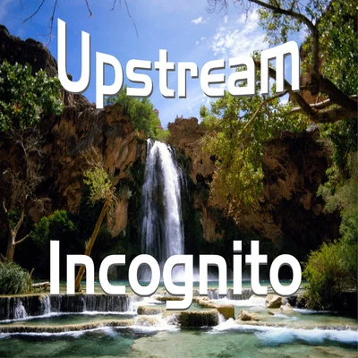 INCOGNITOUpstream (A1)