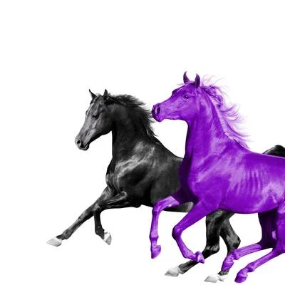 RM/Kern/Seal Phuric/Urawa/Todor Todoroff/Geographique/J-drik/Object/Quintino & Blasterjaxx/jar的ND u sureSeoul Town Road (Old Town Road Remix) feat. RM of BTS