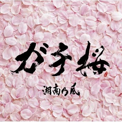 湘南乃風ガチ桜