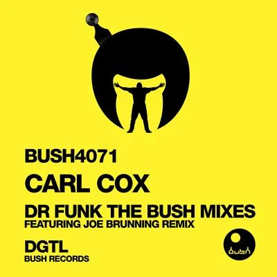 Carl Cox/Arno Joey/Kerri Chandler/Magda/Tuccillo/Popof/Shaun ReevesDr. Funk (The Bush Remixes)