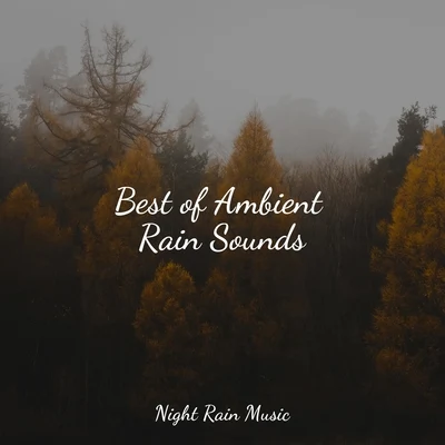 Ambient Music TherpyBest of Ambient Rain Sounds