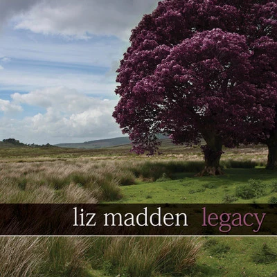 Liz MaddenLegacy