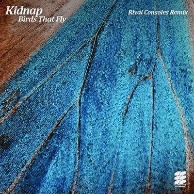 Rival ConsolesMax CooperBirds That Fly (Rival Consoles Remix)