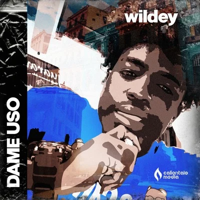 Wildey/Yomil y El DanyDame Uso