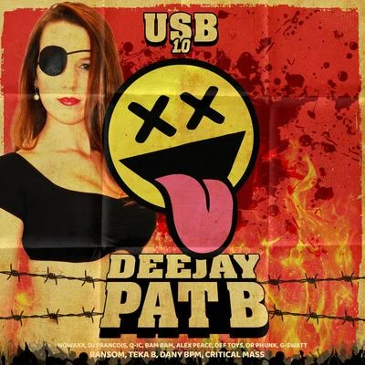 Pat BPotatoQuintino & BlasterjaxxUsb 1.0