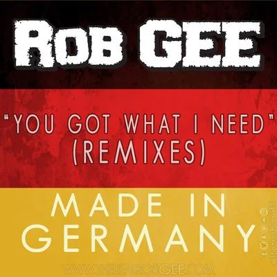 Rob Gee/Chrono/LunAtic/DJ Smurf/MC RG/Frx/Aggressive/Kritikal/Stampede/Chaotic HostilityYou Got What I Need (Remixes) [Made in Germany]