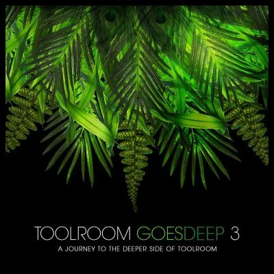 Turntable OrchestraToolroom Goes Deep 3