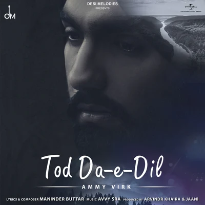 Ammy Virk/Sargun MehtaTod Da E Dil