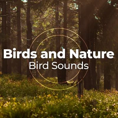 Bird SoundsBirds and Nature