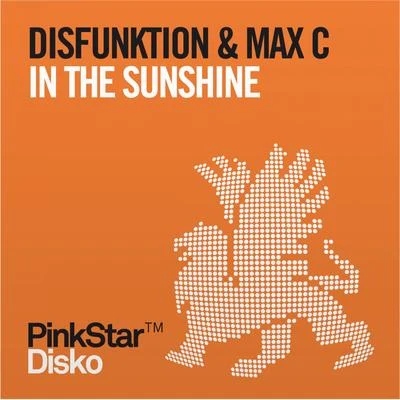 Disfunktion/MuzikjunkiIn the Sunshine