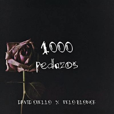 David Cuello1000 pedazos