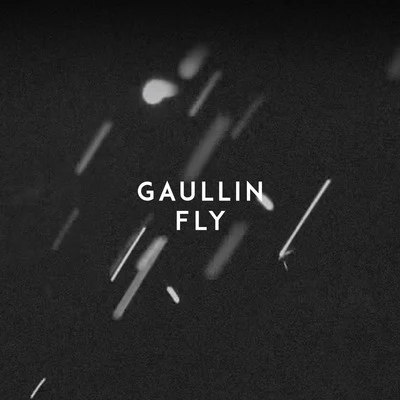 GaullinDwinFly