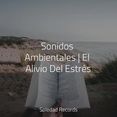 Sons da natureza HD/Entspannungsmusik Meer/Baby Relax Music CollectionSonidos Ambientales | El Alivio Del Estrés