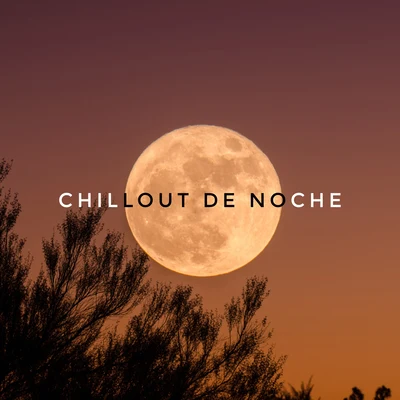 Academia de Música para la Fiesta en la PlayaChillout Sound FestivalChillout de Noche - Música para la Relajación, el Descanso, la Tranquilidad y el Alivio del Estrés