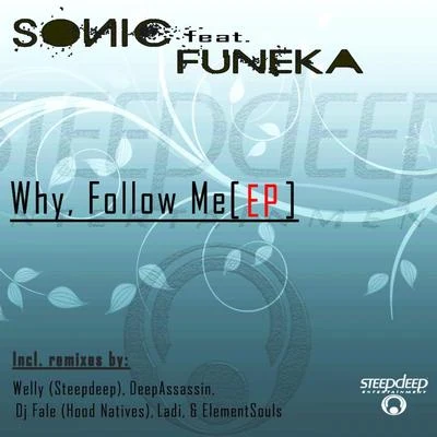 Sonic/Serendipity/Michele Forte/Soft ExperienceWhy, Follow Me