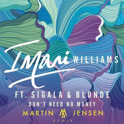 Imani WilliamsDont Need No Money (Martin Jensen Remix)