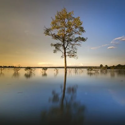 Masajes Spas/Ambiente/Musica MeditactionMúsica de Terapia de Masaje | Música Relajante