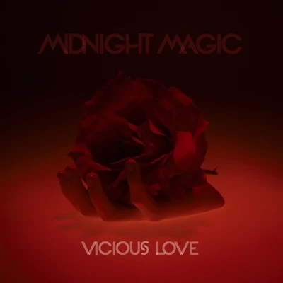 Midnight MagicVicious Love