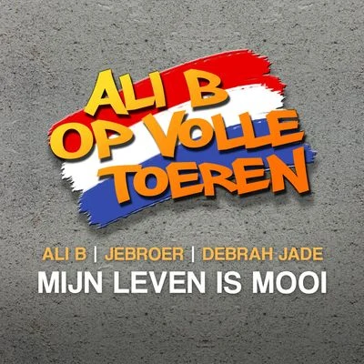 Jebroer/DJ Parla/DJ Paul Elstak/Sharon Doorson/Charly Lownoise & Mental Theo/Jeckyll & Hyde/Monique SmitMijn Leven Is Mooi (feat. Ali B & Debrah Jade)