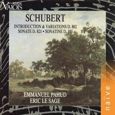 Eric Le SageSchubert: Introduction et variations D. 802, Sonate D. 821, sonatine D. 385